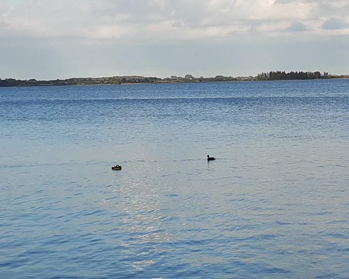 Strandleben Schleswig